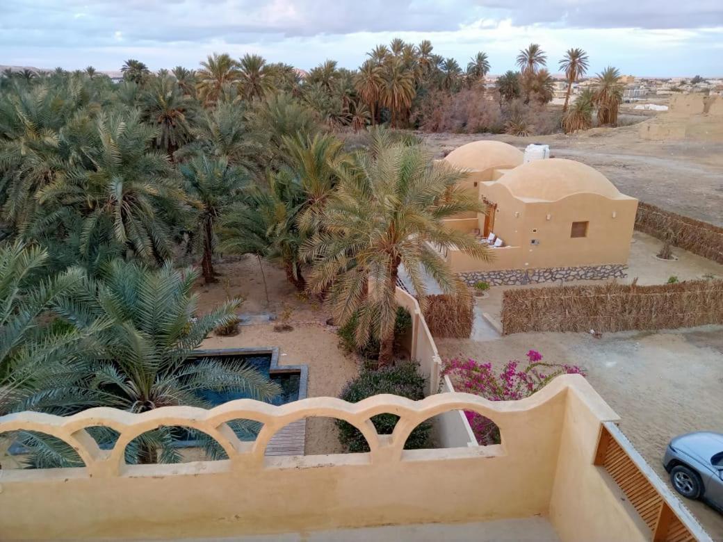 Vila Wafla Siwa Oasis Exteriér fotografie