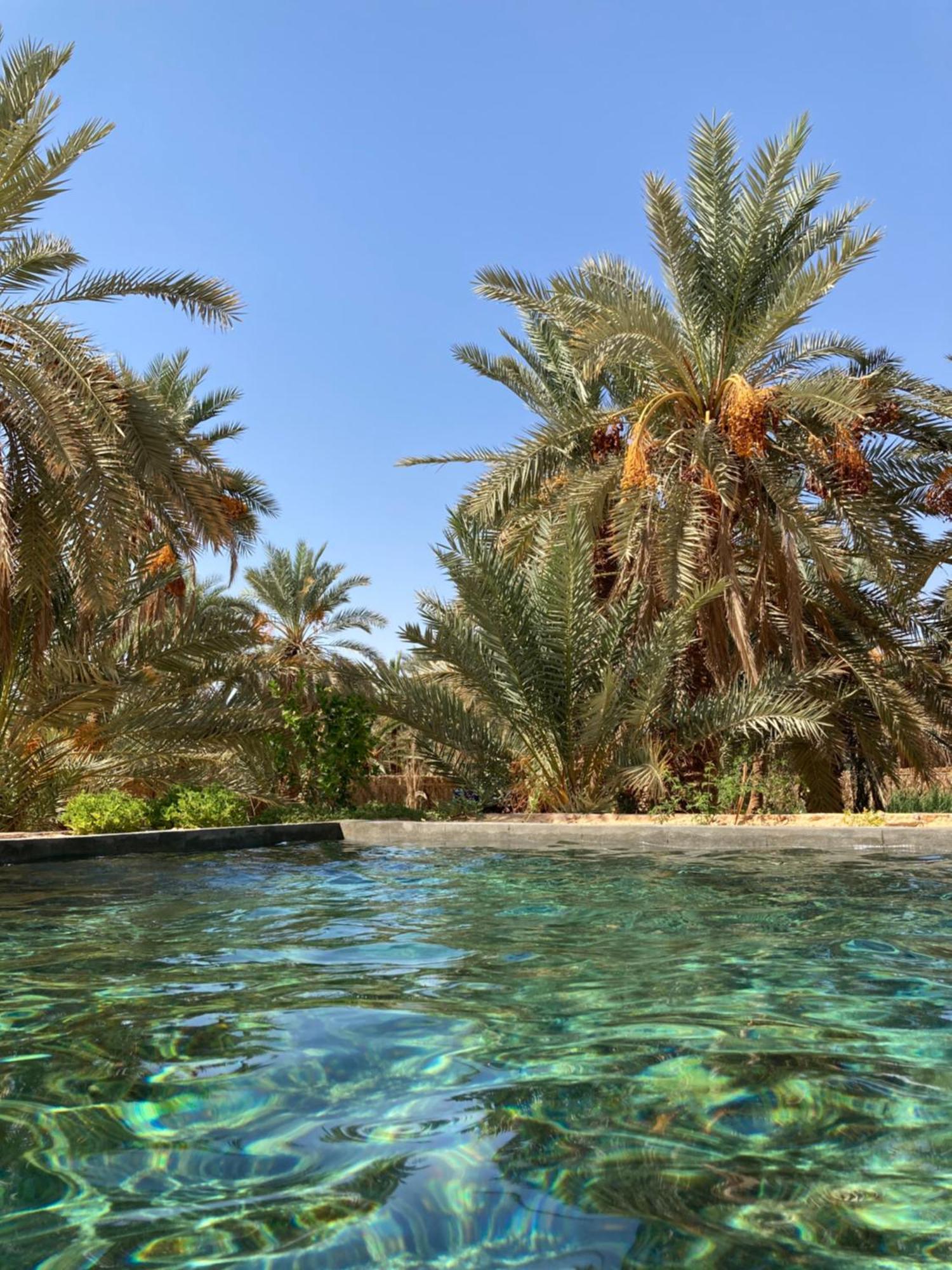 Vila Wafla Siwa Oasis Exteriér fotografie