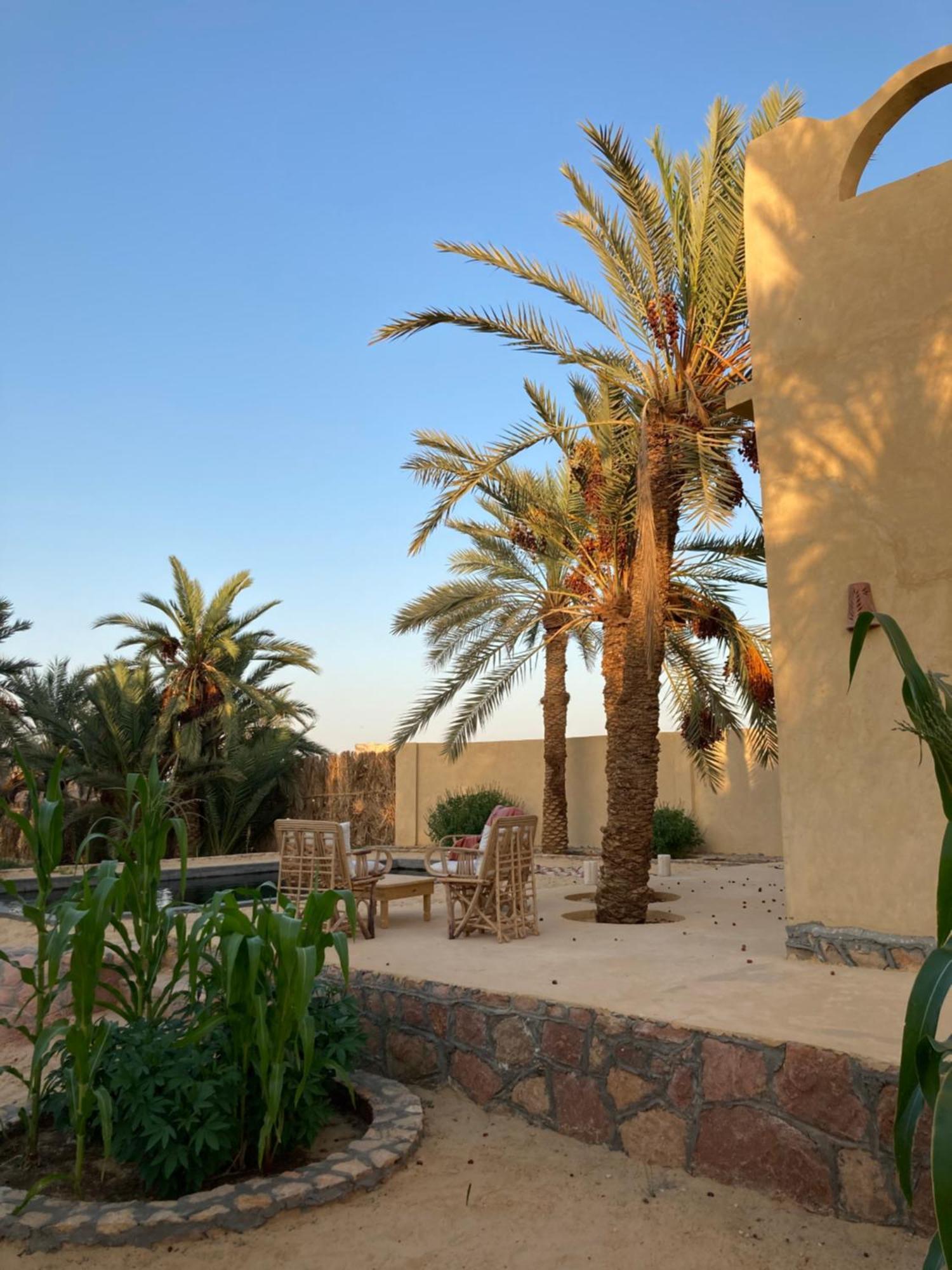 Vila Wafla Siwa Oasis Exteriér fotografie