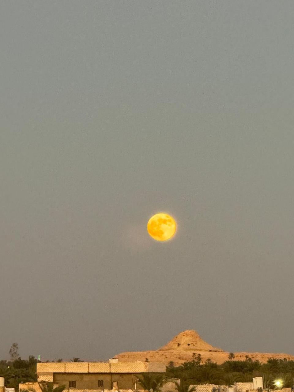 Vila Wafla Siwa Oasis Exteriér fotografie